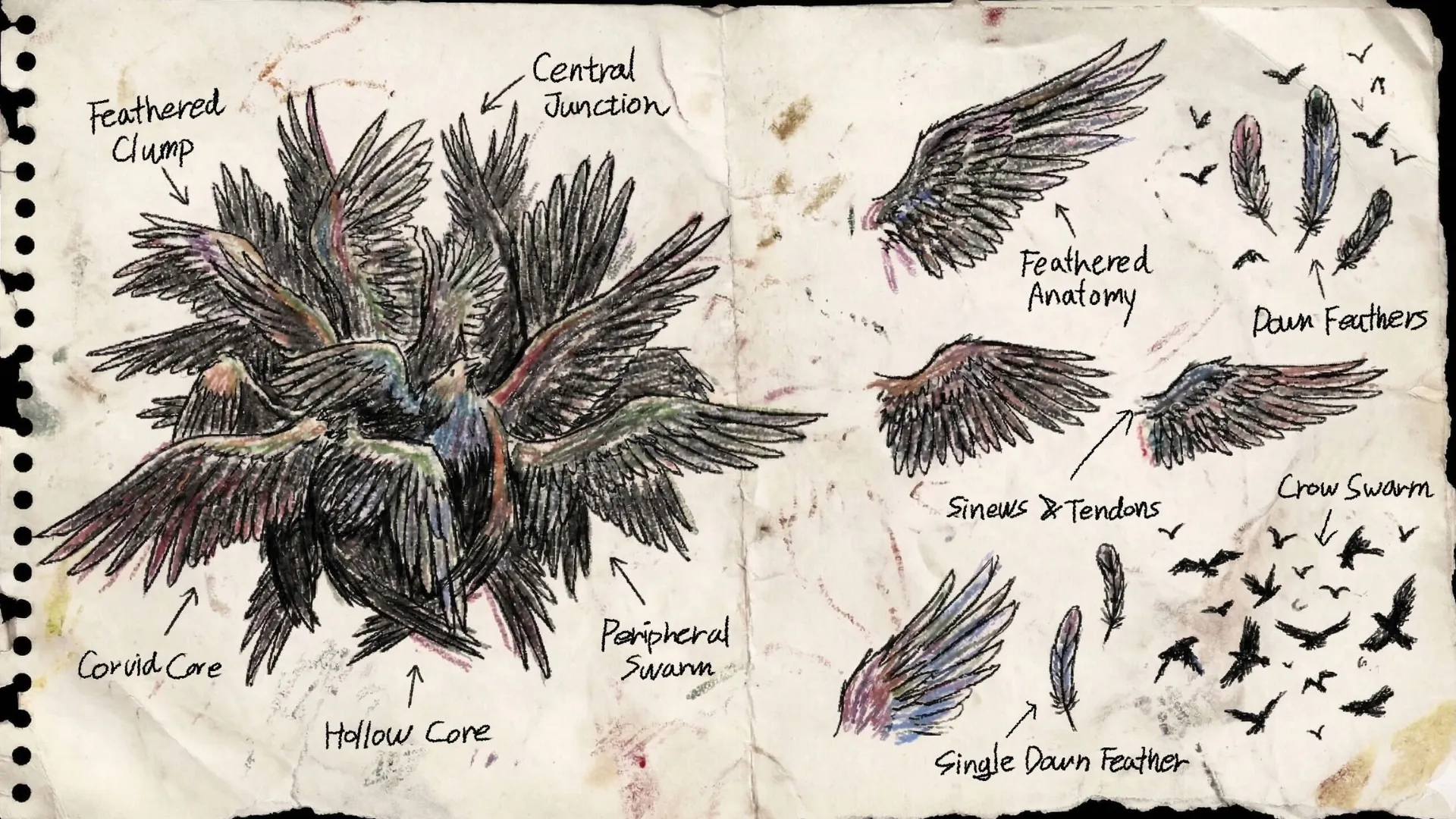 独家大揭秘,行家曝料,亚冠内部人,BG,BG平台,BG官网,BG真人,BG百家乐,PA真人