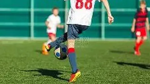 BG真人 产品 012659 wtl