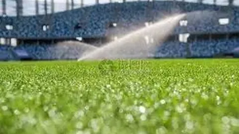 BG真人 产品 012735 man