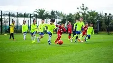 张俪工作室就直播间假赠品事件发表声明