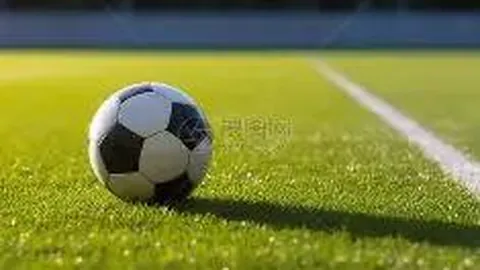 张雨绮成为李柄熹公司监事，双重身份引人关注