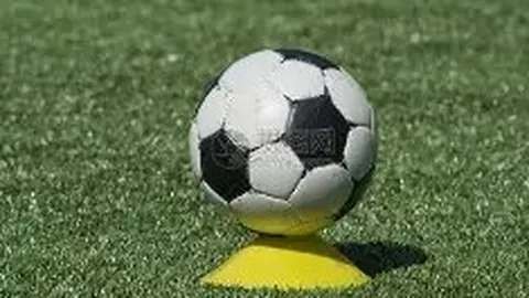 BG真人 资讯 102256 jy0